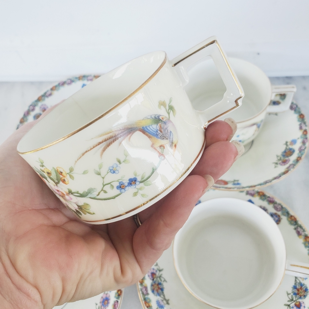Heinrich & Co. H&C Selb Bavaria SONGBIRD cup saucer 8 Pcs